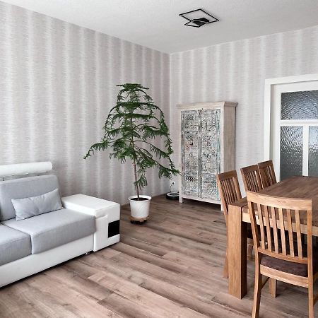 Schoene Altbauwohnung Mit Grosser Sonnenterrasse Rudolstadt Dış mekan fotoğraf