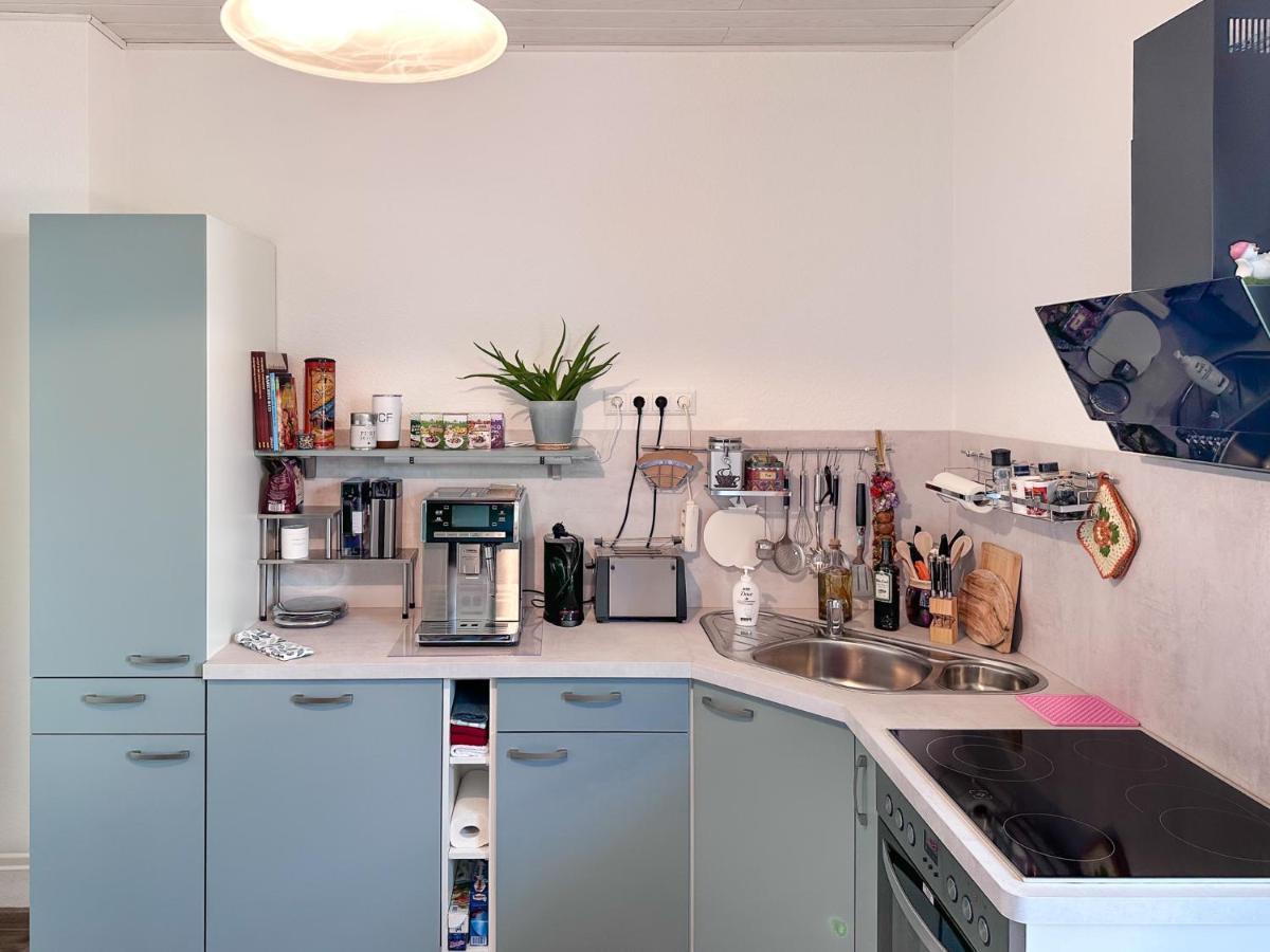 Schoene Altbauwohnung Mit Grosser Sonnenterrasse Rudolstadt Dış mekan fotoğraf